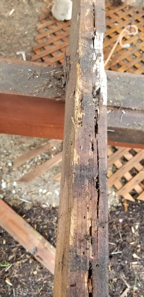 Custom landscape design for outdoor upgrades across Seattle, WA - 2 Bros Landscaping