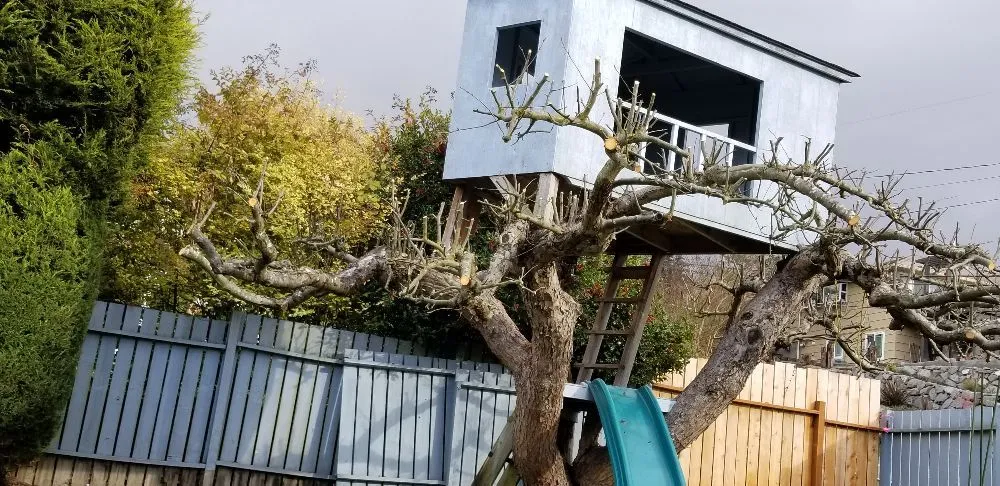 Local landscape installation in Seattle, WA - 2 Bros Landscaping