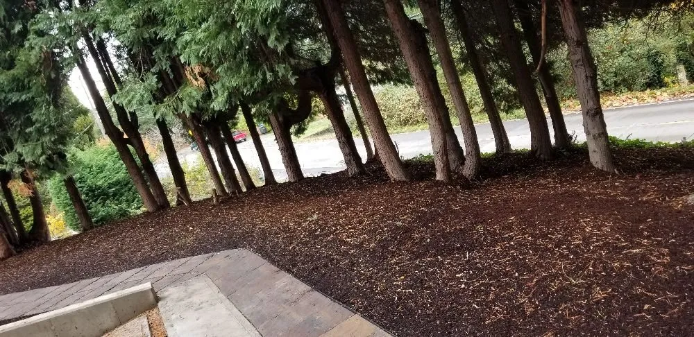 Reliable landscape installation in Seattle, WA by 2 Bros Landscaping