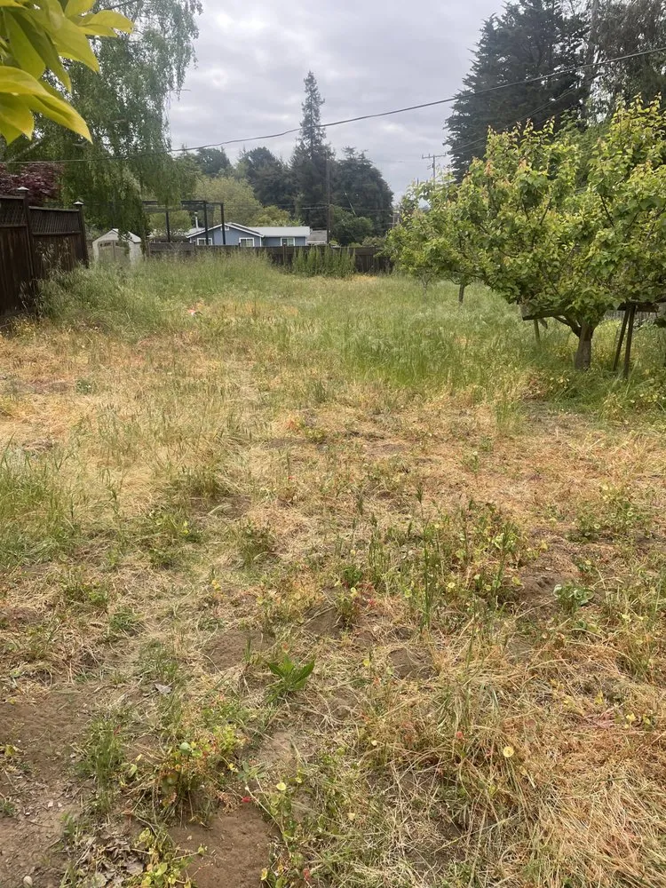 Top-rated landscape installation for beautiful yards across Salinas, CA - 2 Bros Lawn Care Services