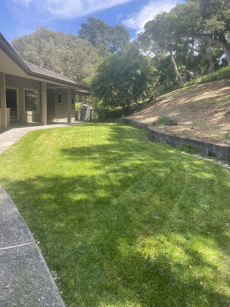 Top-rated landscaping services for beautiful yards in Salinas, CA by 2 Bros Lawn Care Services