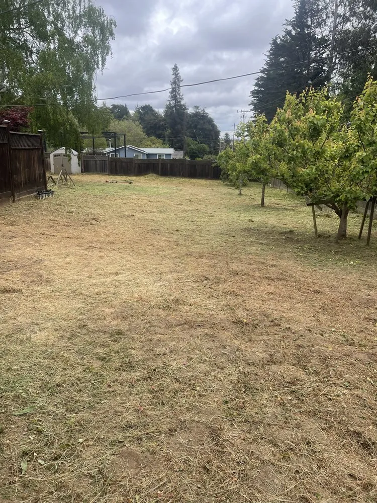 Reliable landscape design in Salinas, CA by 2 Bros Lawn Care Services