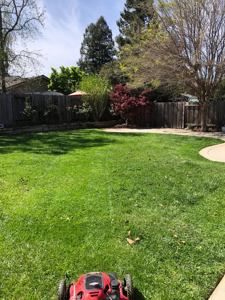 Expert yard maintenance in Salinas, CA by 2 Bros Lawn Care Services