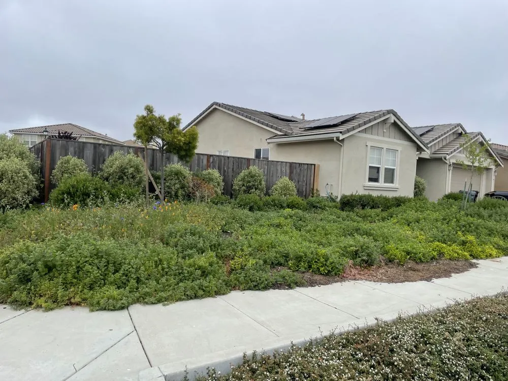 Expert landscape design in Salinas, CA by 2 Bros Lawn Care Services