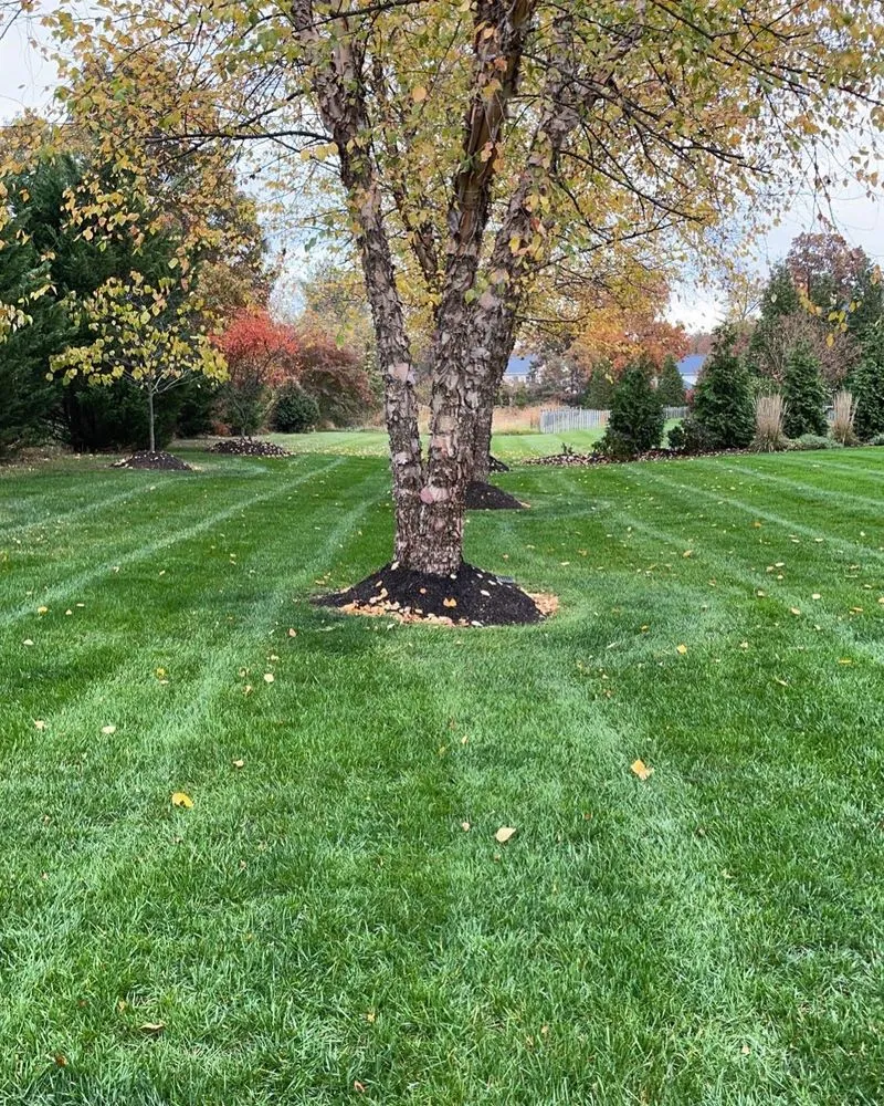 Reliable landscaping services for year-round maintenance in South Riding, VA by 2 Bros Lawn Care