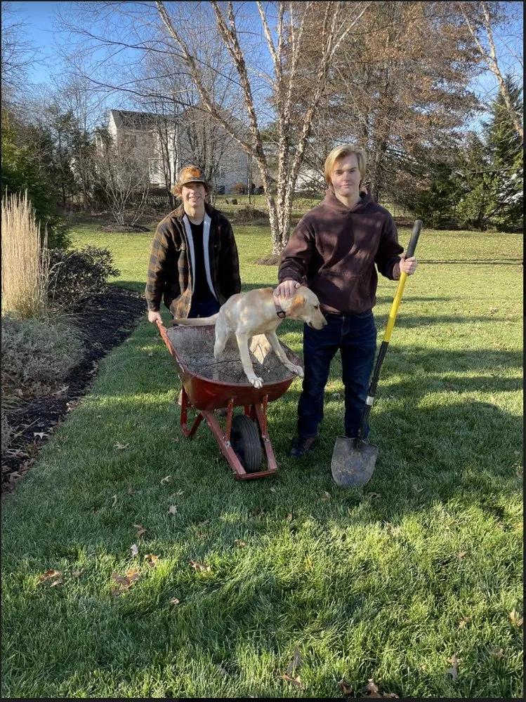 Professional yard cleanup service for year-round maintenance in South Riding, VA by 2 Bros Lawn Care