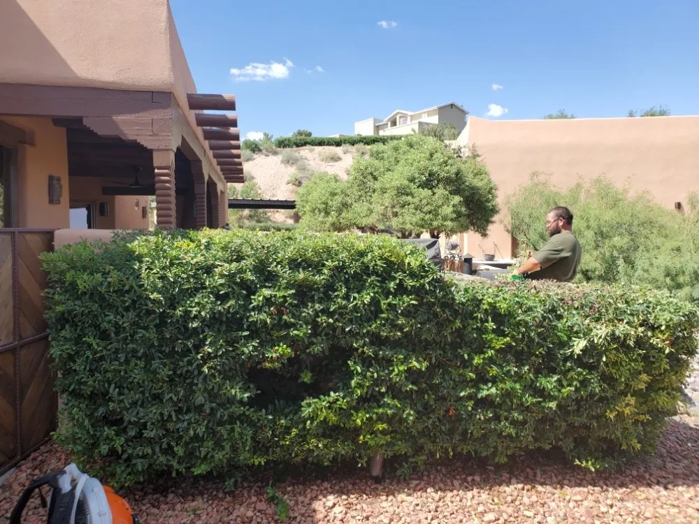 Reliable residential landscaping for outdoor upgrades across Las Cruces, NM - 2 bros weedcontrol