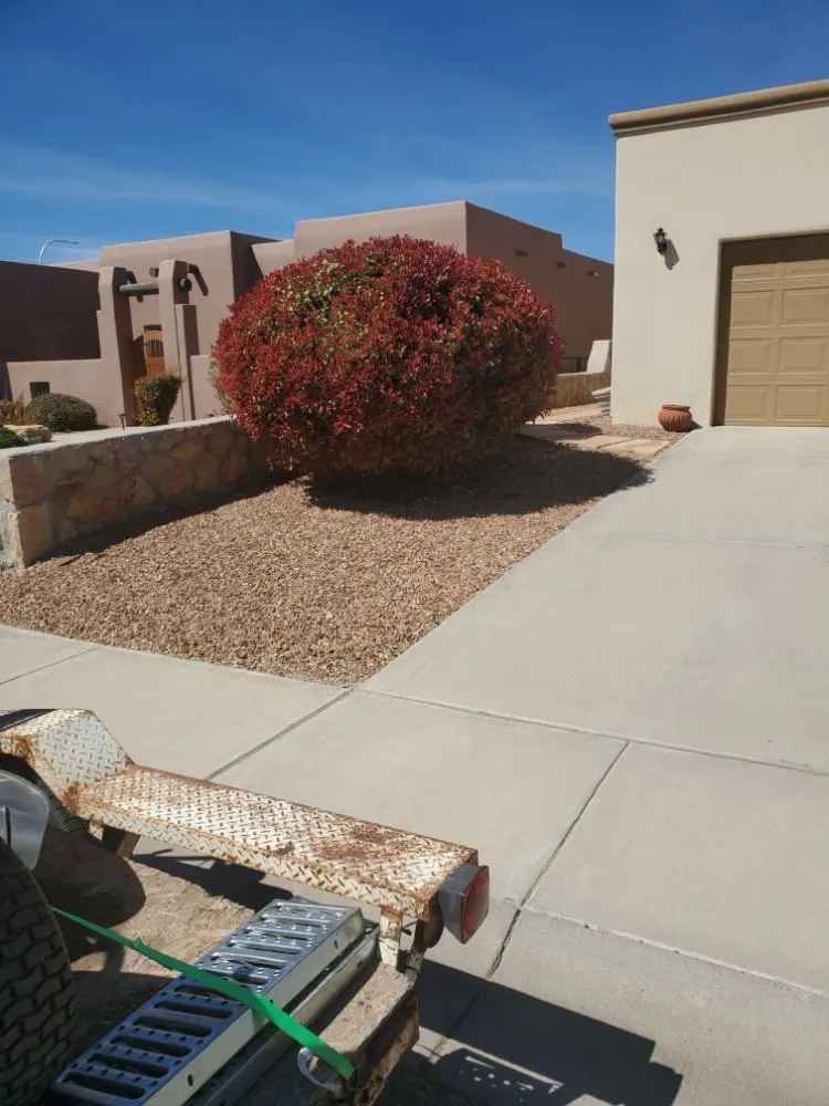 Custom yard maintenance for beautiful yards in Las Cruces, NM by 2 bros weedcontrol