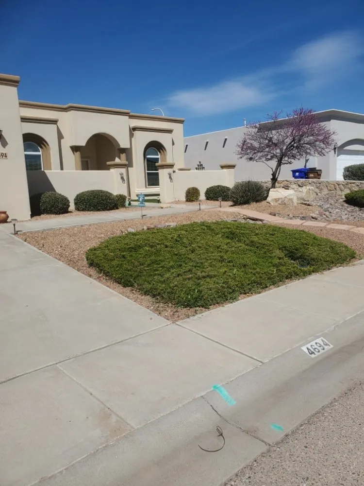 Top-rated garden landscaping with custom design across Las Cruces, NM - 2 bros weedcontrol