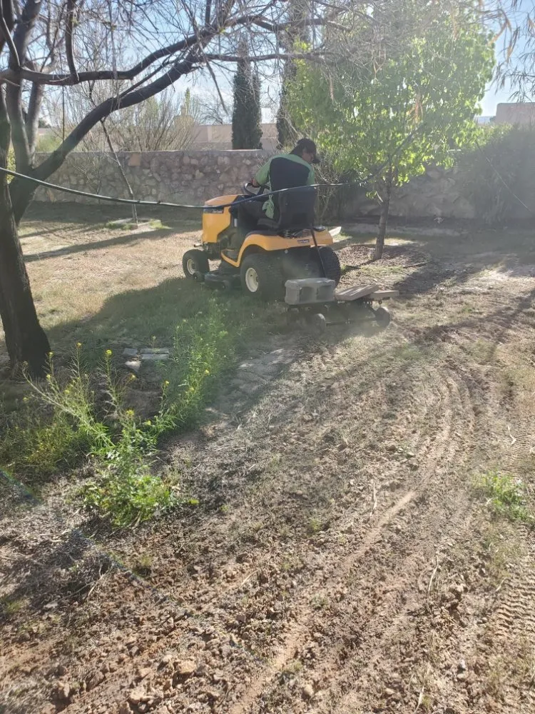 Trusted yard cleanup service with custom design in Las Cruces, NM by 2 bros weedcontrol