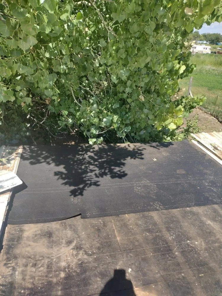 Custom yard maintenance for homes in Belen, NM by 2 Brothers