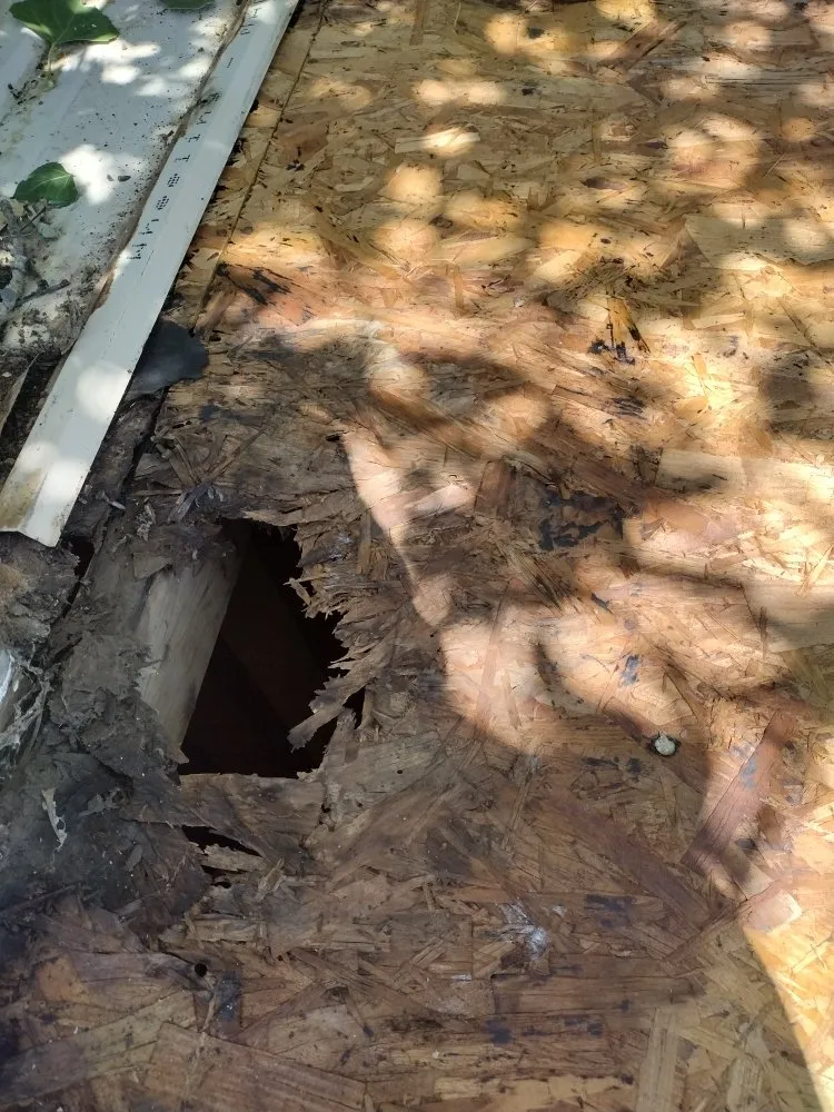 Top-rated outdoor landscaping with custom design in Belen, NM by 2 Brothers