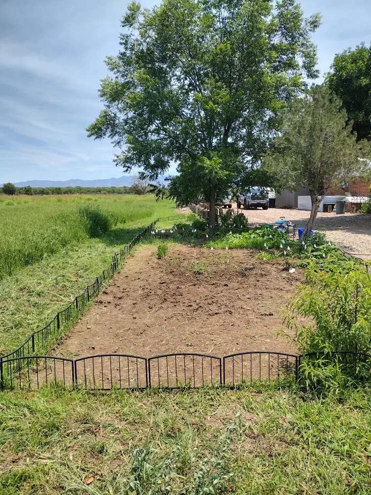 Affordable lawn care service for homes in Belen, NM by 2 Brothers