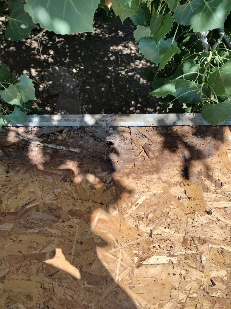 Custom yard maintenance for year-round maintenance in Belen, NM by 2 Brothers