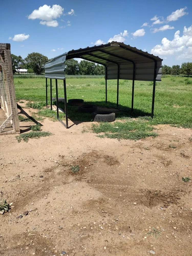 Affordable lawn mowing service in Belen, NM by 2 Brothers