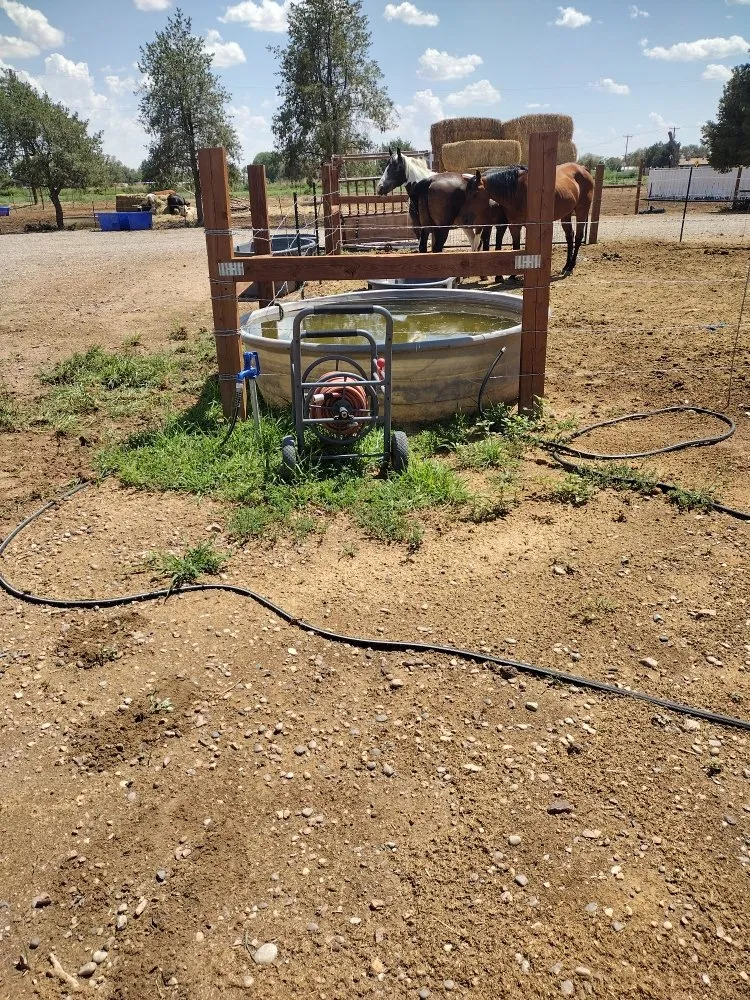Reliable lawn care service for year-round maintenance across Belen, NM - 2 Brothers