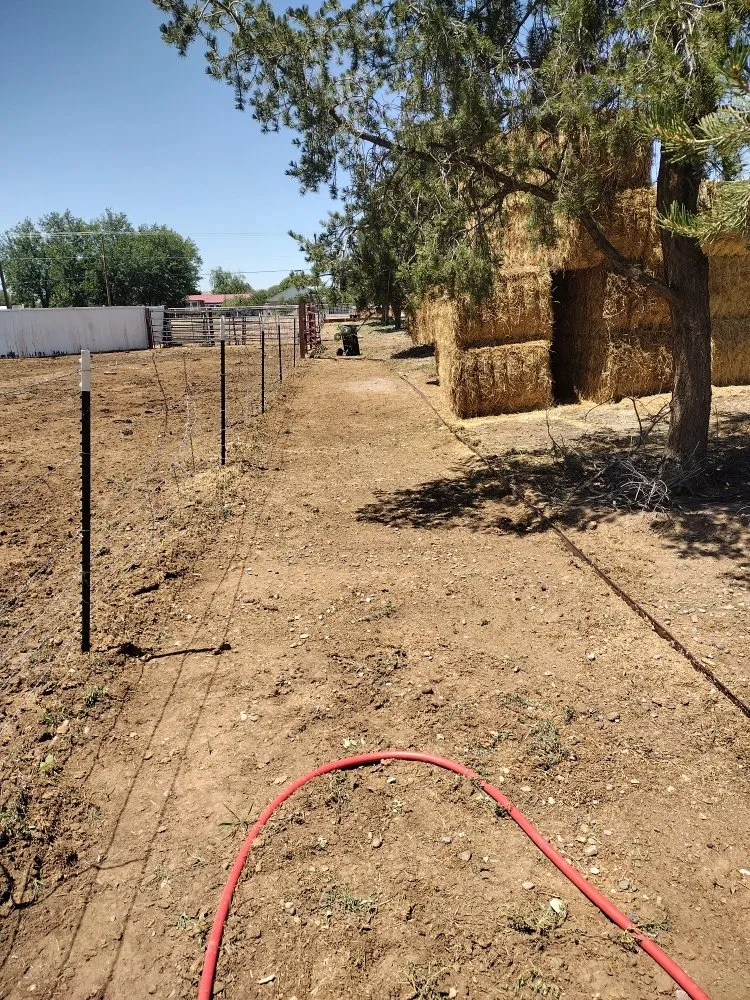 Trusted yard maintenance near you in Belen, NM by 2 Brothers