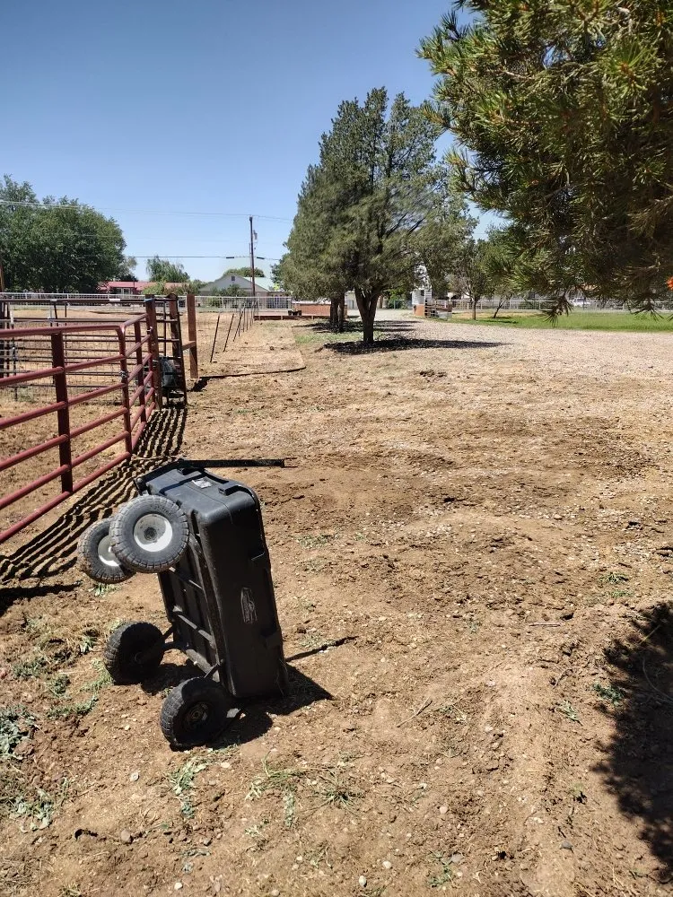 Professional lawn mowing service for year-round maintenance across Belen, NM - 2 Brothers