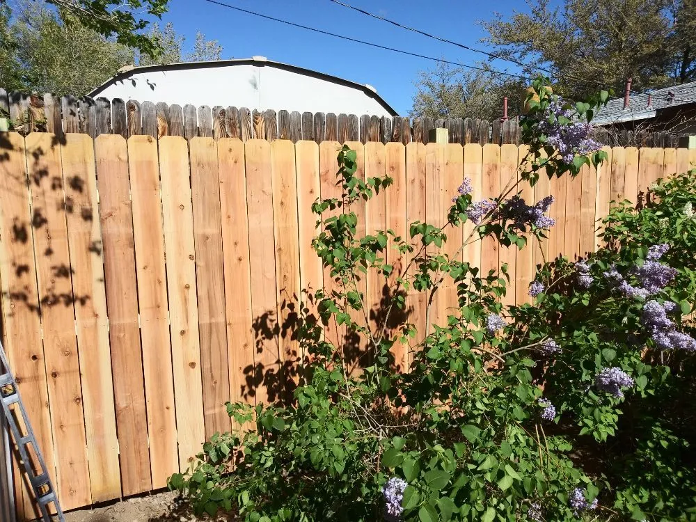 Expert yard cleanup service experts serving Albuquerque, NM - 2 Brothers Landscaping