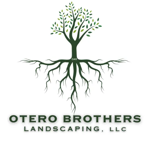 Expert residential landscaping in Albuquerque, NM by 2 Brothers Landscaping