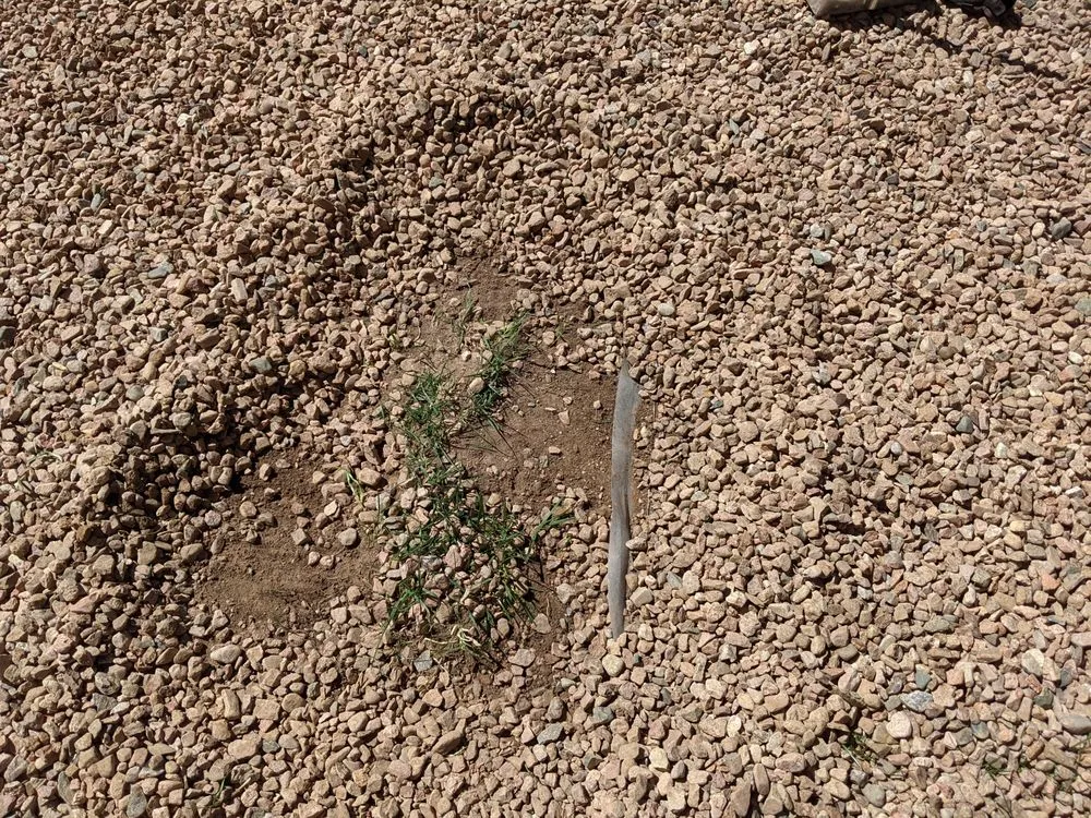 Local landscaping services experts serving Albuquerque, NM - 2 Brothers Landscaping