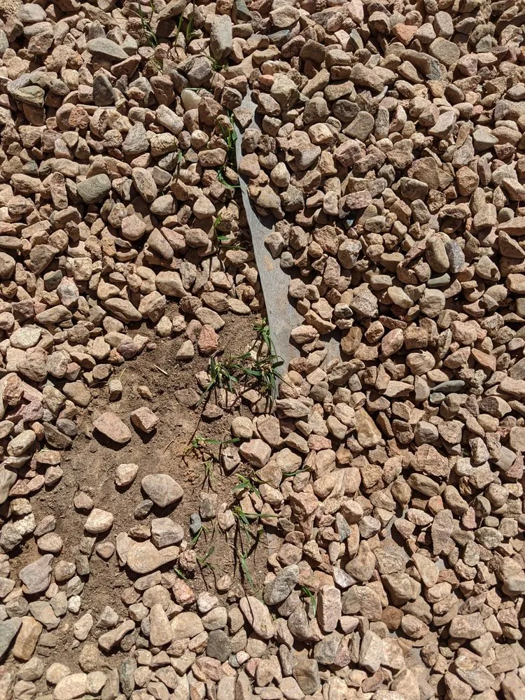 Professional yard cleanup service for homes in Albuquerque, NM by 2 Brothers Landscaping