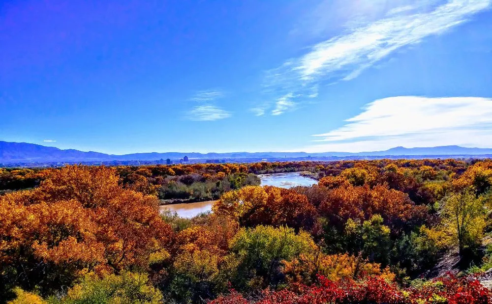 Reliable landscape installation in Albuquerque, NM - 2 Brothers Landscaping