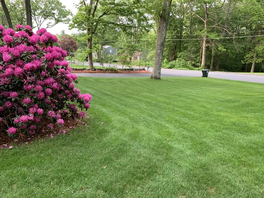 Local landscape design with custom design across Webster, MA - 2 Brothers Landscaping And Small Engine Repair
