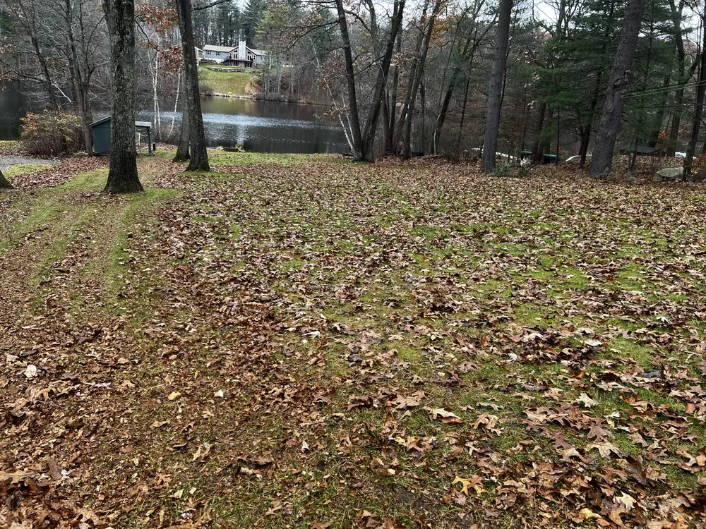 Reliable garden landscaping for year-round maintenance in Webster, MA by 2 Brothers Landscaping And Small Engine Repair