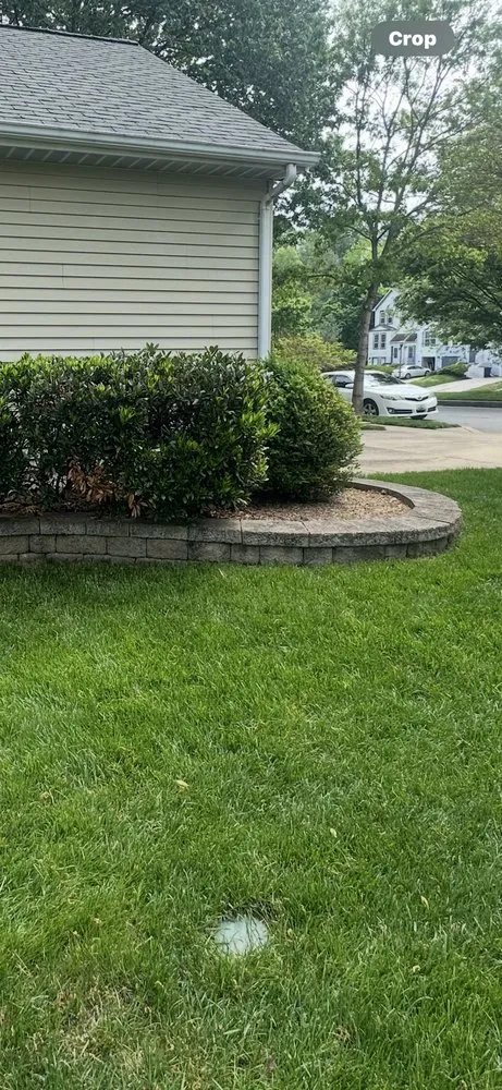 Reliable landscaping services for year-round maintenance across Baltimore, MD - 2 Brothers Landscaping