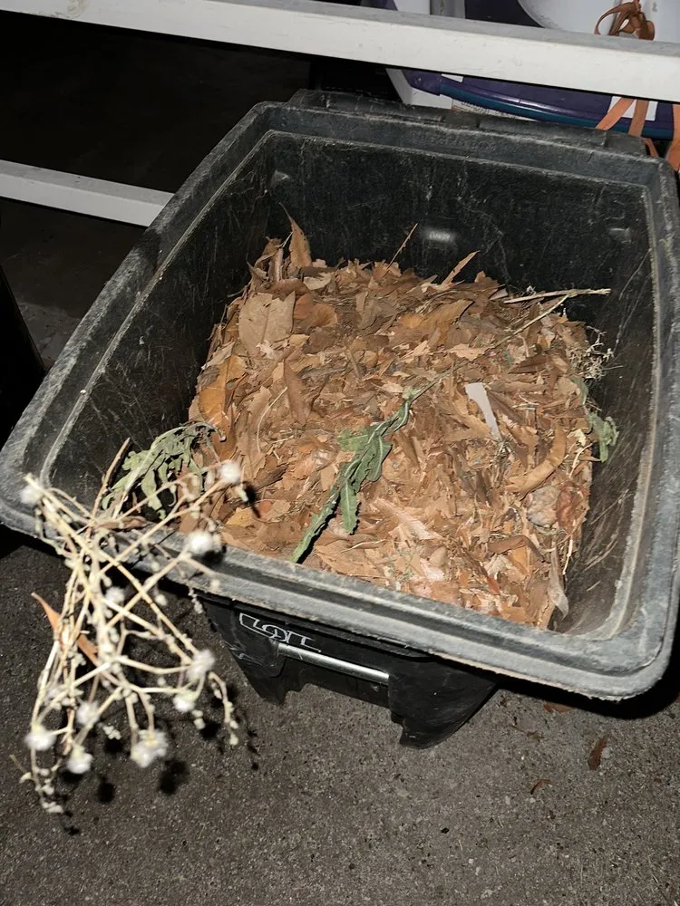 Local outdoor landscaping experts serving Los Angeles, CA - 2 Brothers Landscaping