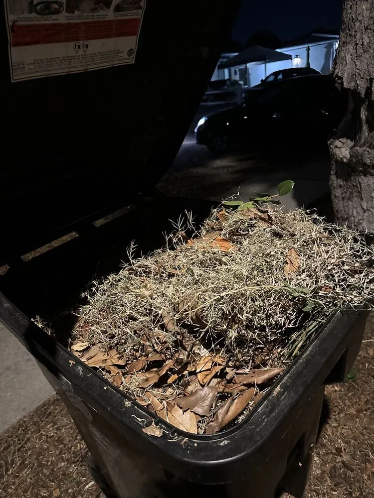 Reliable landscaping services in Los Angeles, CA - 2 Brothers Landscaping