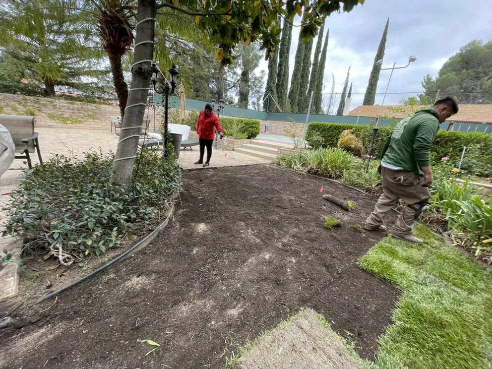 Custom landscape design in Los Angeles, CA - 2 Brothers Landscaping