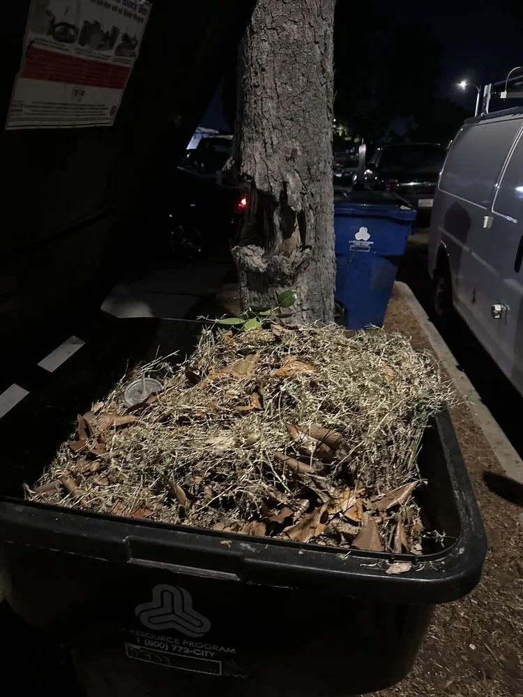 Custom residential landscaping in Los Angeles, CA - 2 Brothers Landscaping