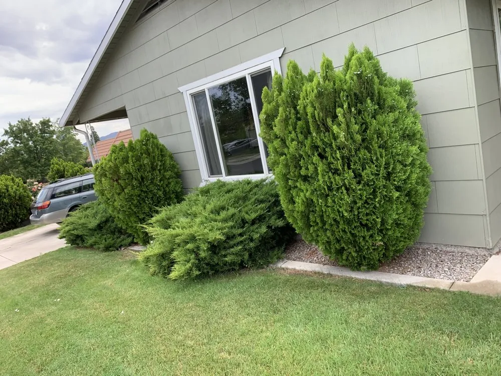 Reliable yard cleanup service in Reno, NV by 2 Brothers Landscaping