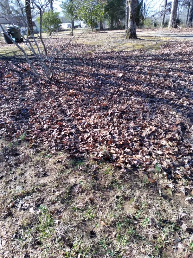 Reliable lawn care service experts serving Sheffield, AL - 2 Brothers Lawn Care & More