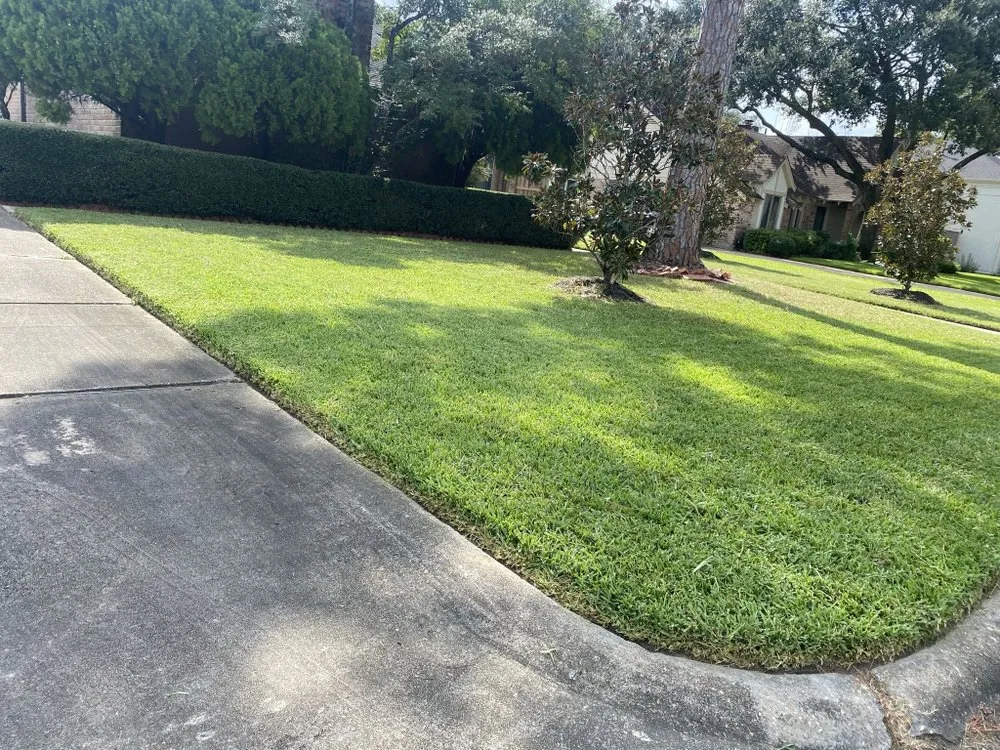 Reliable yard maintenance experts serving Houston, TX - 2 Brothers Lawn Mowing