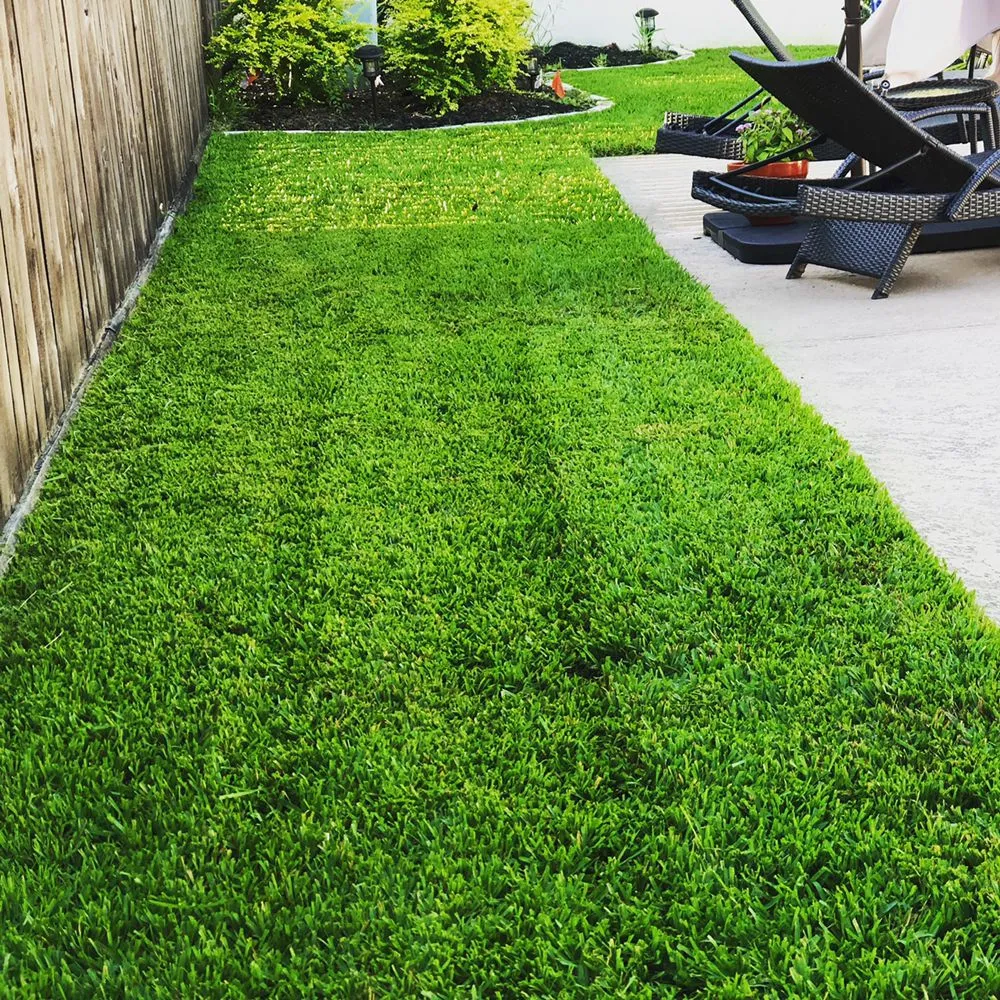 Expert lawn care service for year-round maintenance in Houston, TX by 2 Brothers Lawn Mowing