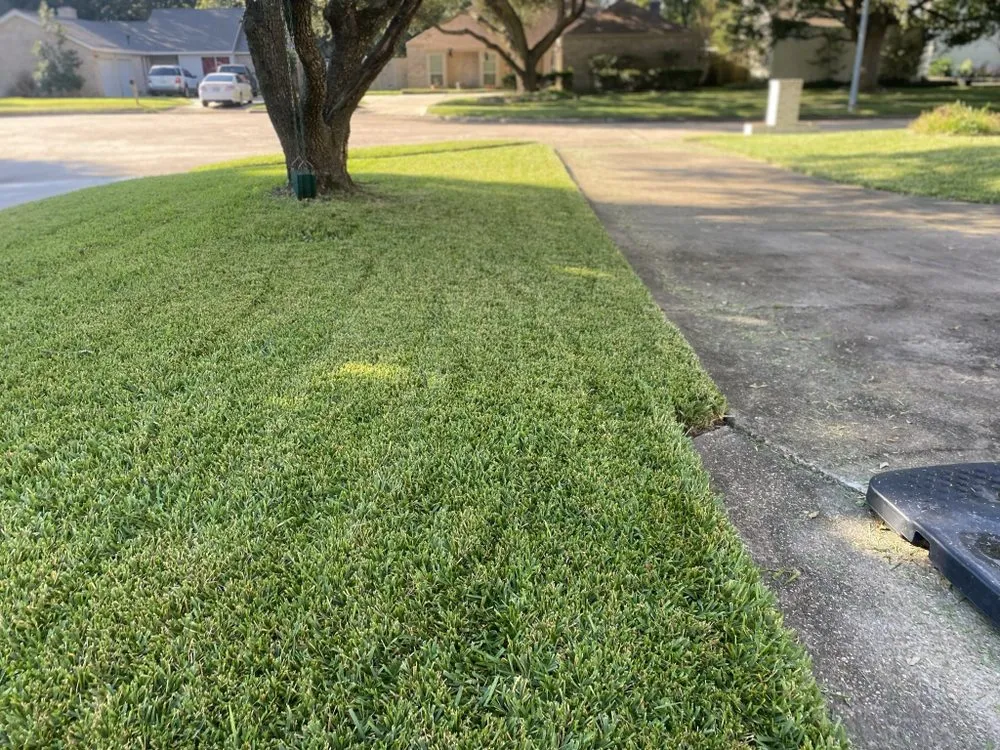 Custom landscaping services in Houston, TX by 2 Brothers Lawn Mowing