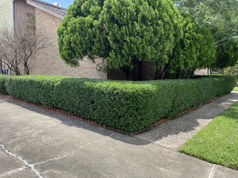 Expert landscape installation for residential properties in Houston, TX by 2 Brothers Lawn Mowing