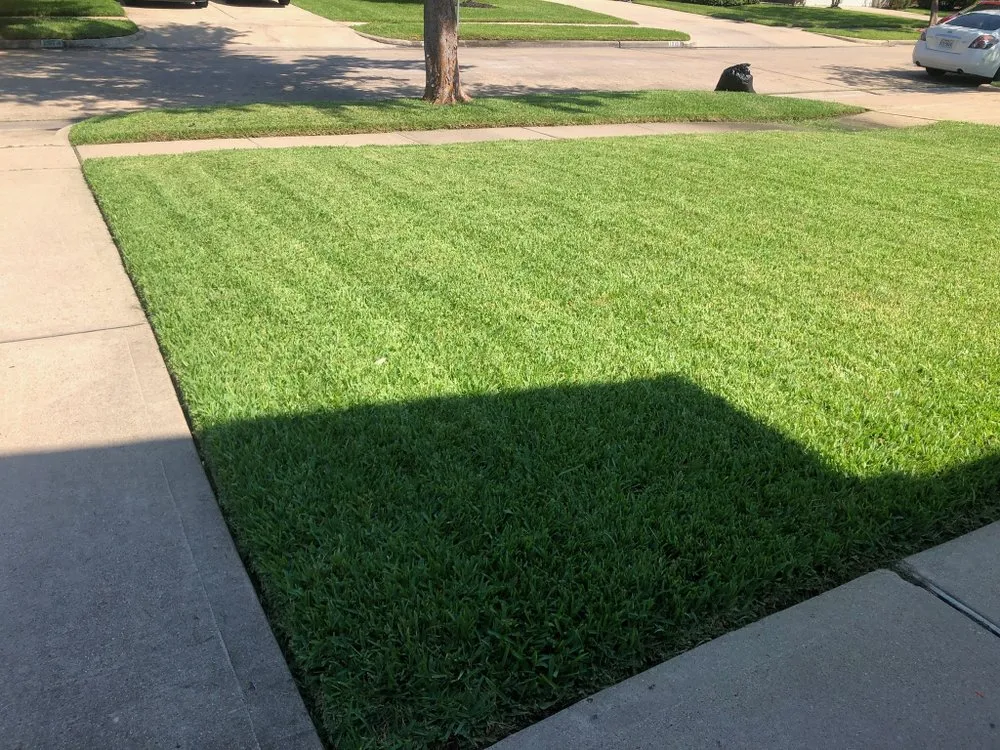 Affordable landscaping services in Houston, TX by 2 Brothers Lawn Mowing