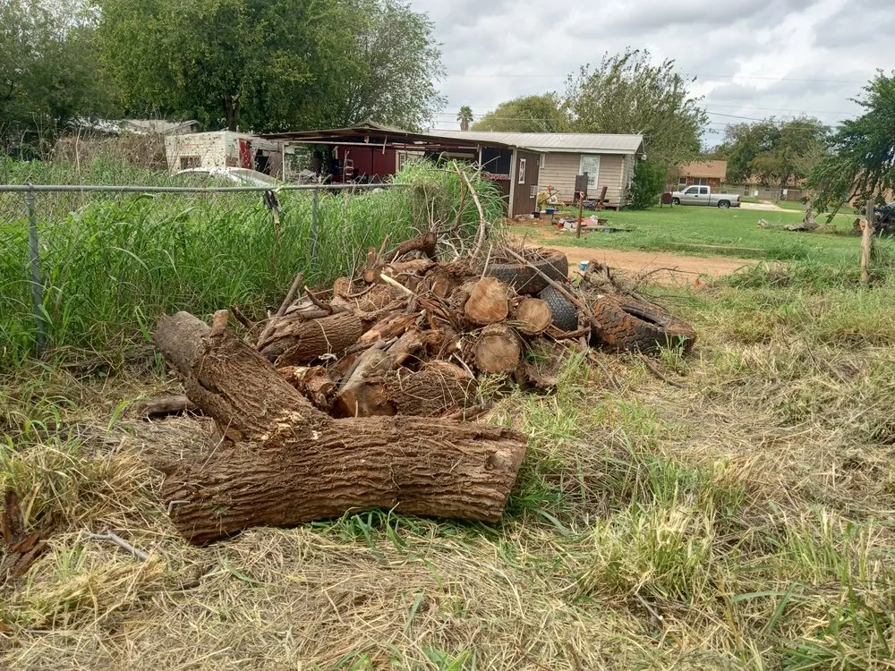 Professional landscape design in Pearsall, TX by 2 Brothers Mowing