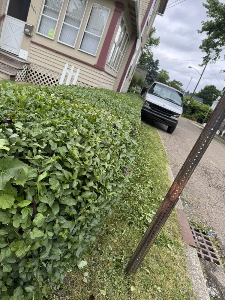 Expert lawn care service for beautiful yards across Canton, OH - 2 Brothers Property Maintenance