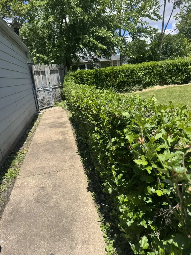 Professional residential landscaping in Canton, OH by 2 Brothers Property Maintenance