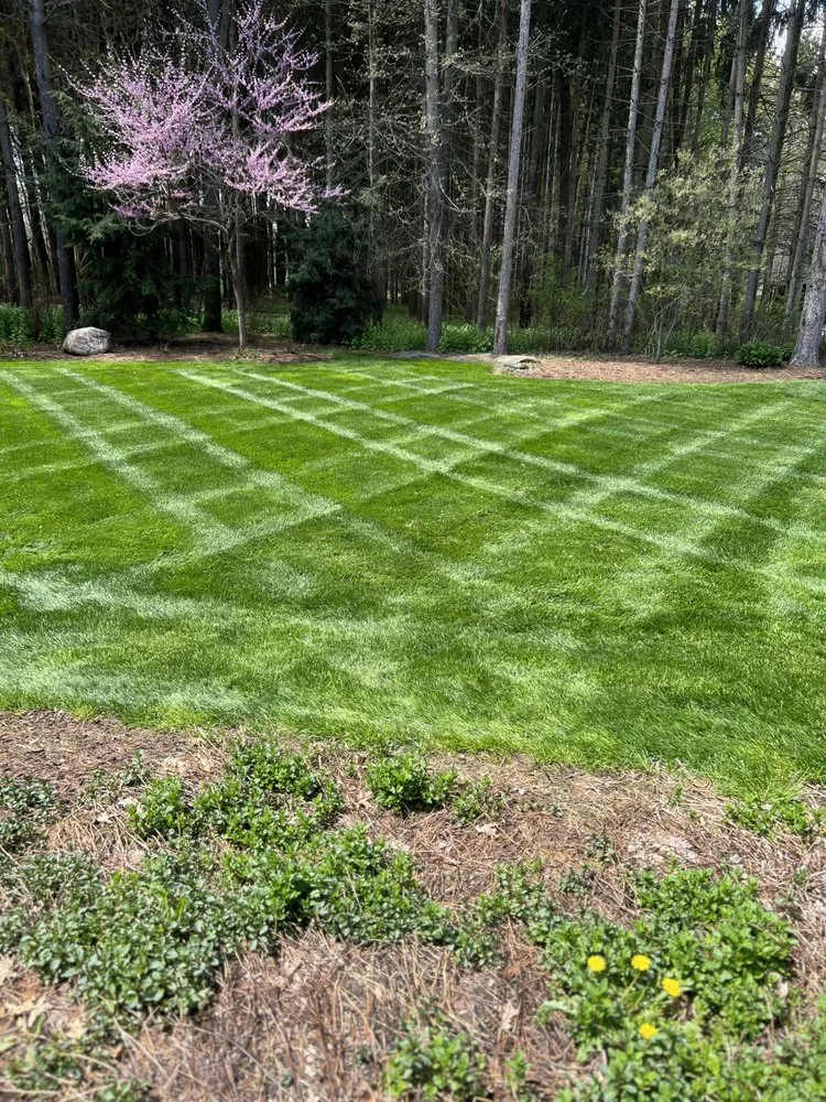 Expert lawn mowing service in Canton, OH - 2 Brothers Property Maintenance