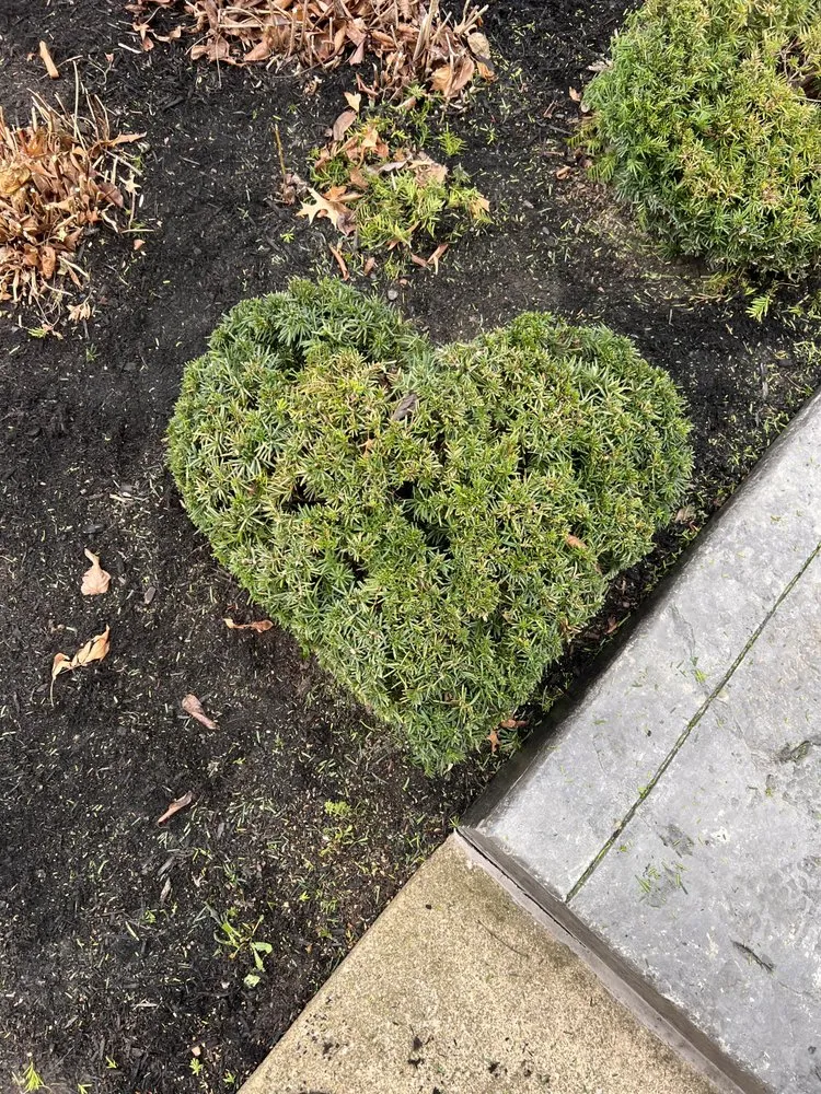 Trusted outdoor landscaping experts serving Canton, OH - 2 Brothers Property Maintenance