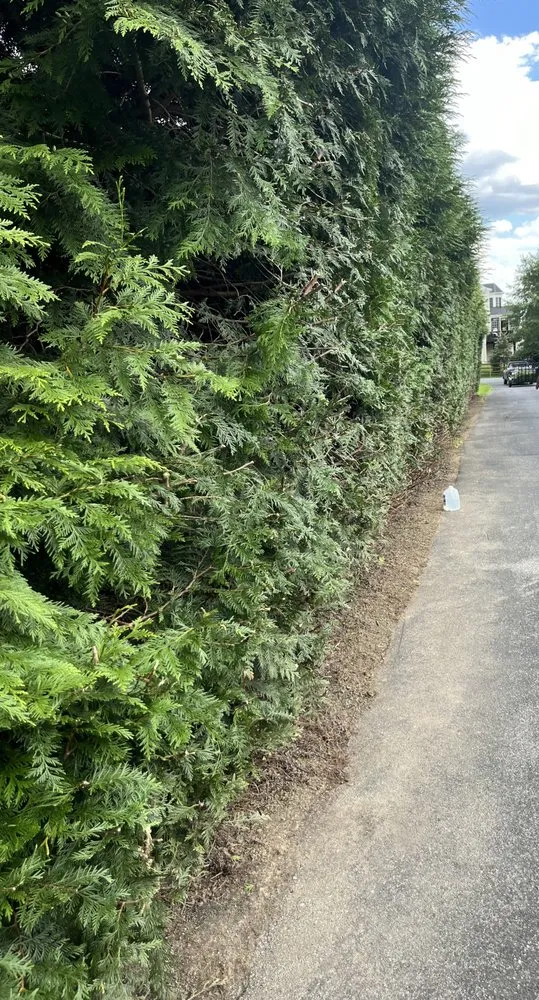 Custom outdoor landscaping for residential properties across Gaithersburg, MD - 2 Brothers Total Cleaning