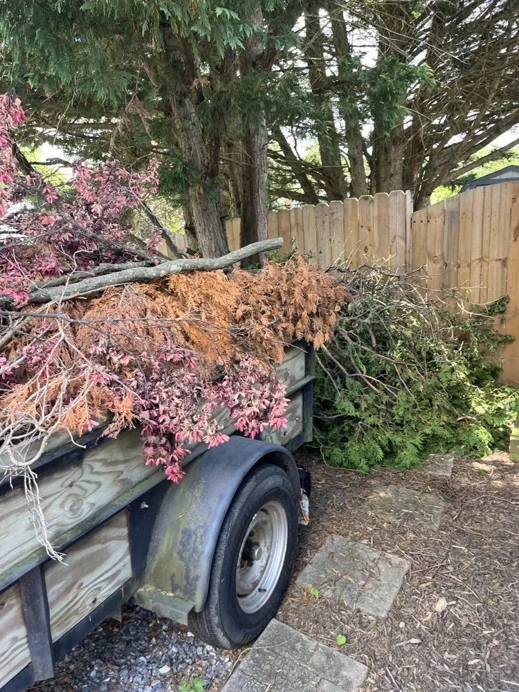 Affordable garden landscaping for beautiful yards across Gaithersburg, MD - 2 Brothers Total Cleaning