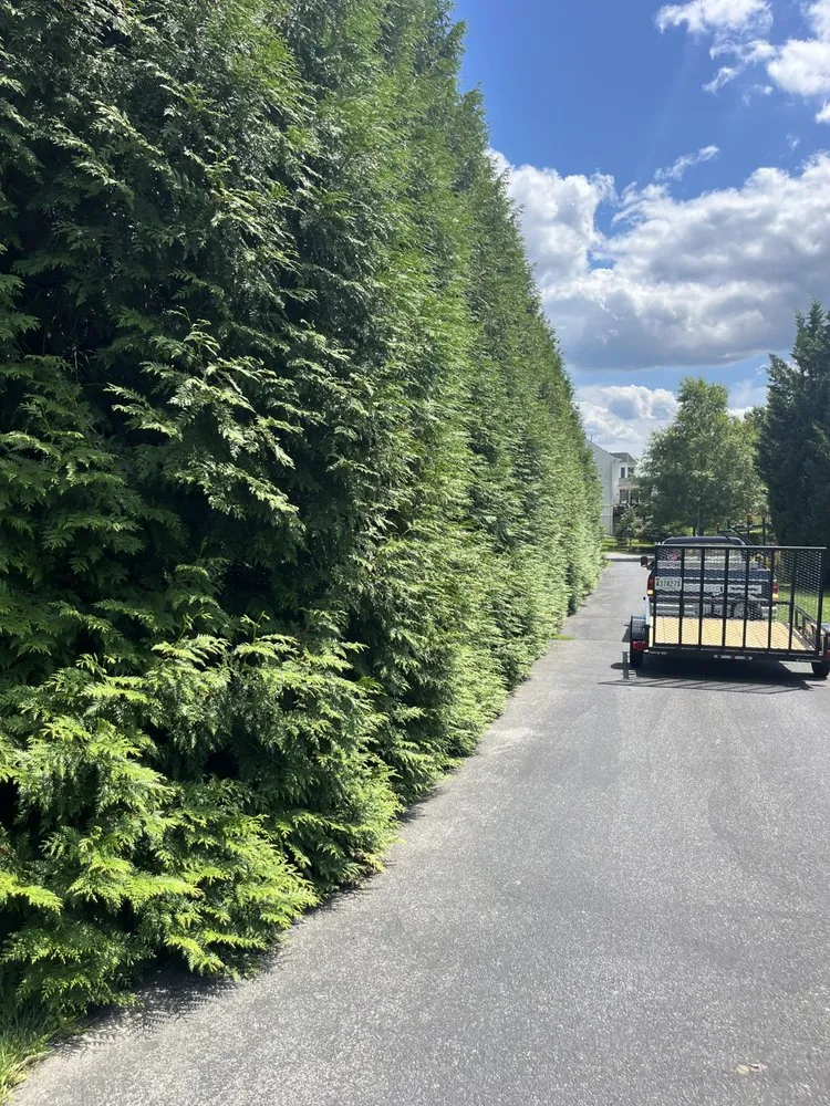 Expert yard maintenance for beautiful yards in Gaithersburg, MD by 2 Brothers Total Cleaning