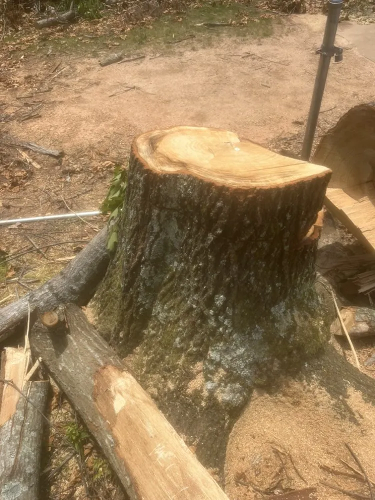 Professional landscape installation near you in Knoxville, TN by 2 Brothers Tree & Lawn Service